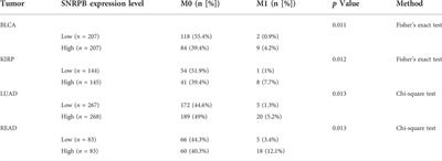 The oncogenic role of SNRPB in human tumors: A pan-cancer analysis